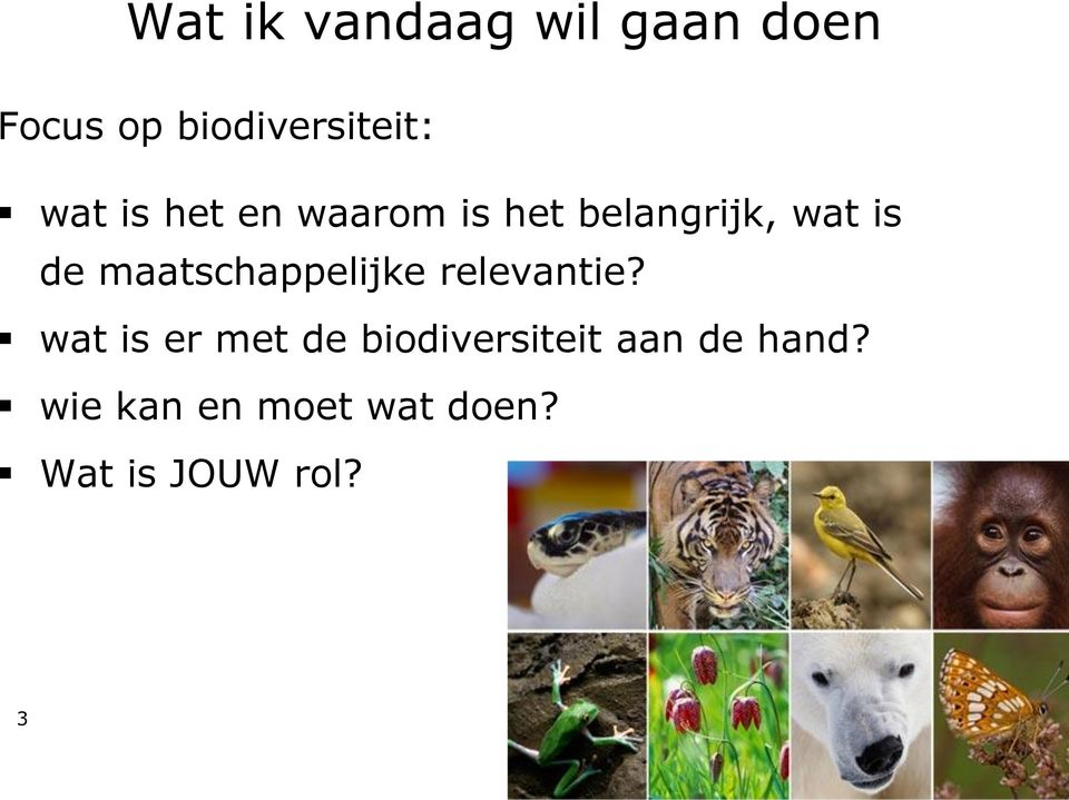 maatschappelijke relevantie?