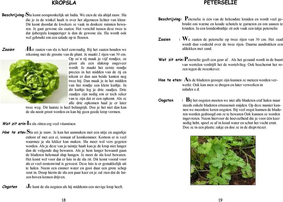 Sla wordt ook wel gebruikt om een salade op te fleuren. Zaaien :Het zaaien van sla is heel eenvoudig. Bij het zaaien houden we rekening met de grootte van de plant. Je maakt 2 rijen van 30 cm.