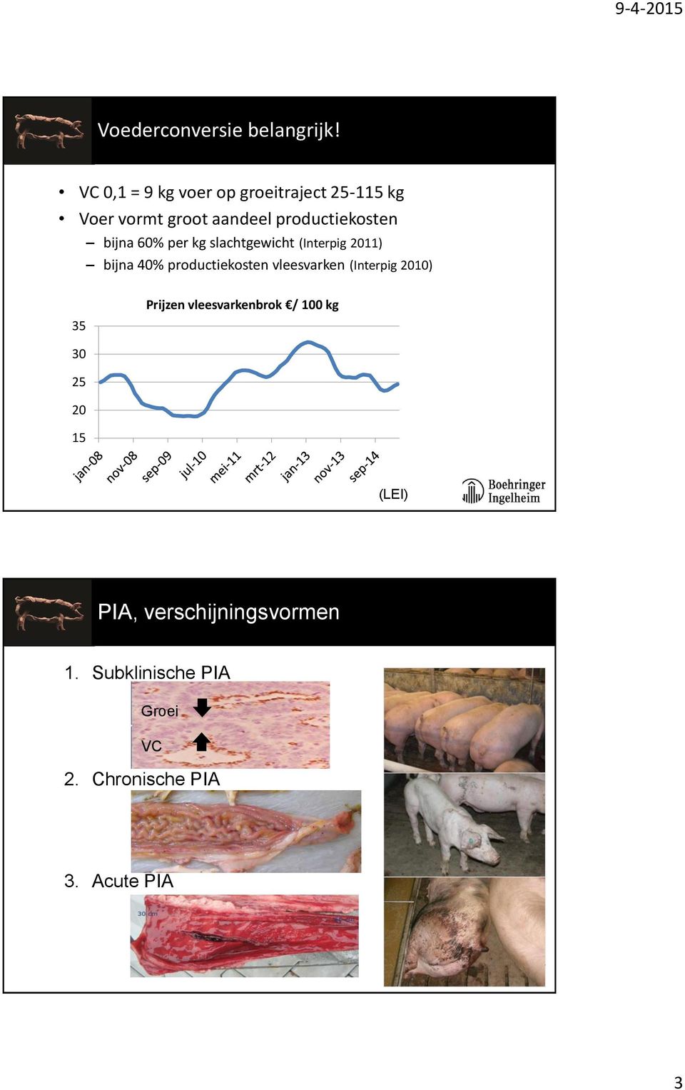 bijna 60% per kg slachtgewicht (Interpig 2011) bijna 40% productiekosten vleesvarken