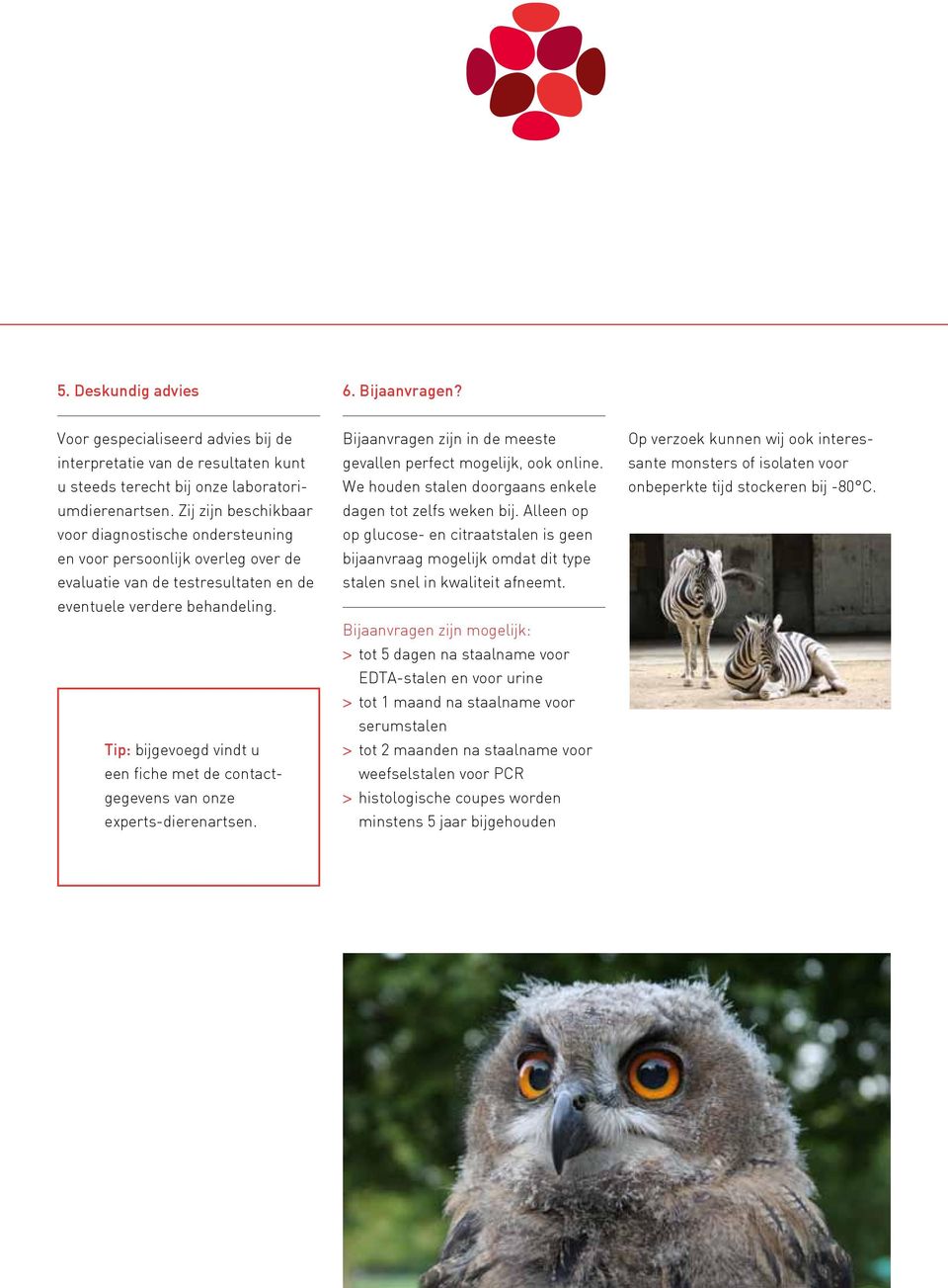 Tip: bijgevoegd vindt u een fiche met de contactgegevens van onze experts-dierenartsen. Bijaanvragen zijn in de meeste gevallen perfect mogelijk, ook online.