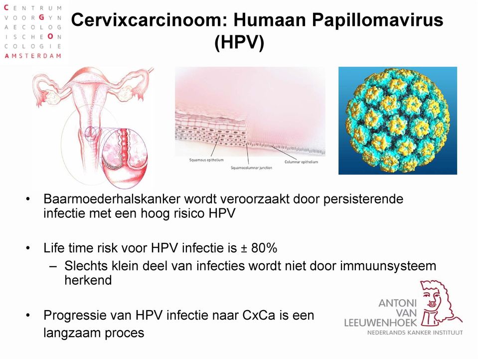 risk voor HPV infectie is ± 80% Slechts klein deel van infecties wordt niet