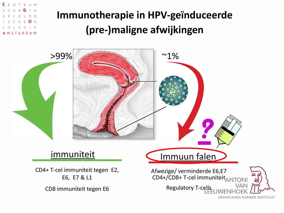 immuniteit CD4+ T cel immuniteit tegen E2, E6, E7 & L1 CD8