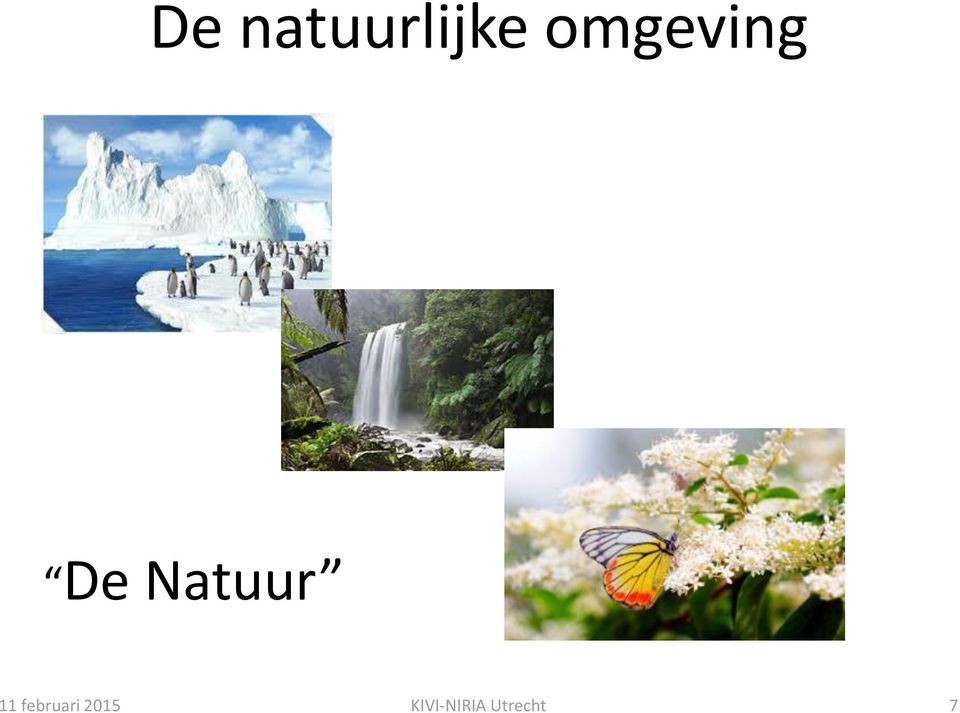 Natuur 11