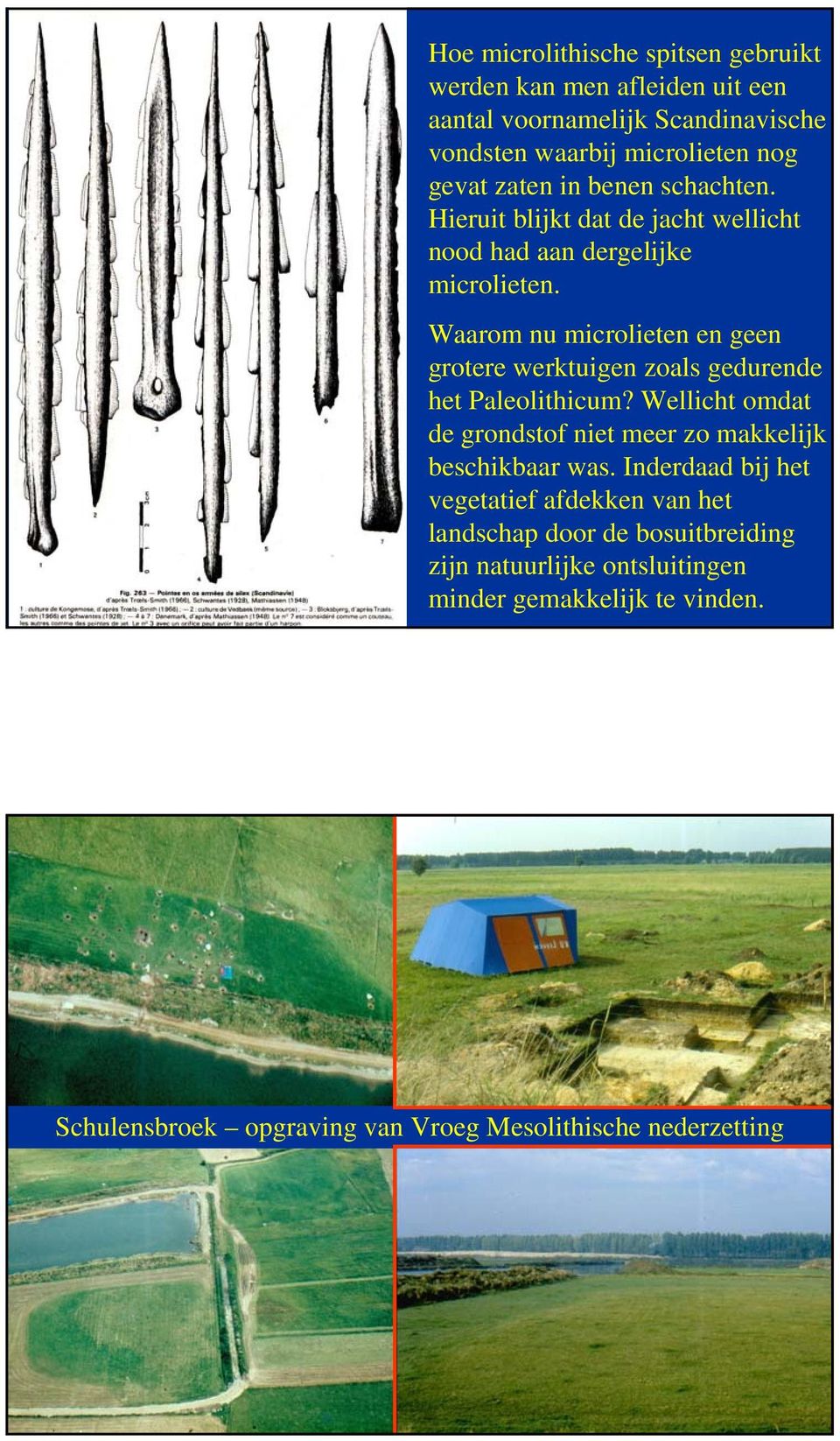 Waarom nu microlieten en geen grotere werktuigen zoals gedurende het Paleolithicum?