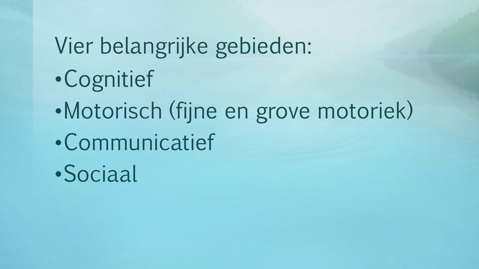 Motorisch (fijne en