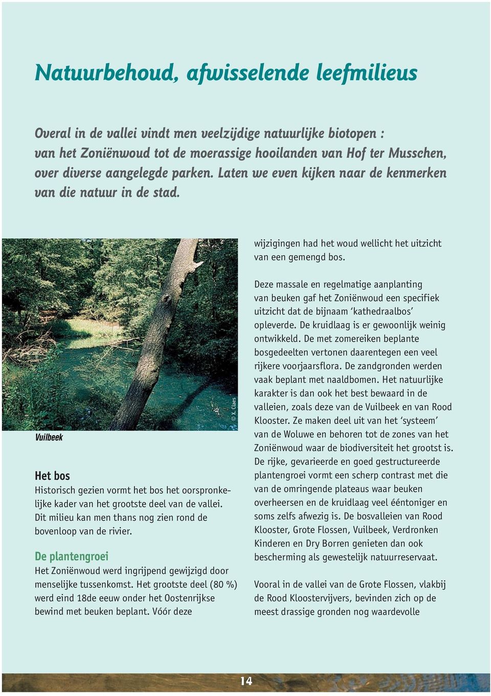 Vuilbeek Het bos Historisch gezien vormt het bos het oorspronkelijke kader van het grootste deel van de vallei. Dit milieu kan men thans nog zien rond de bovenloop van de rivier.