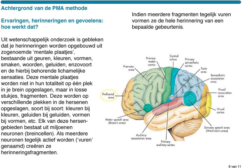 hierbij behorende lichamelijke sensaties. Deze mentale plaatjes worden niet in hun totaliteit op één plek in je brein opgeslagen, maar in losse stukjes, fragmenten.