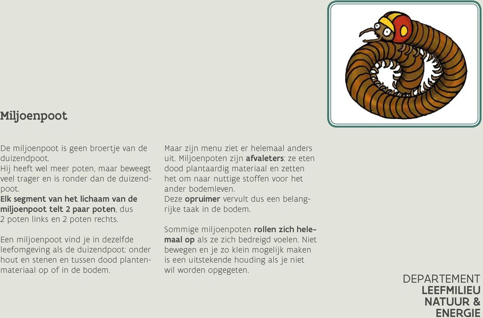 Een miljoenpoot vind je in dezelfde leefomgeving als de duizendpoot: onder hout en stenen en tussen dood plantenmateriaal op of in de bodem. Maar zijn menu ziet er helemaal anders uit.