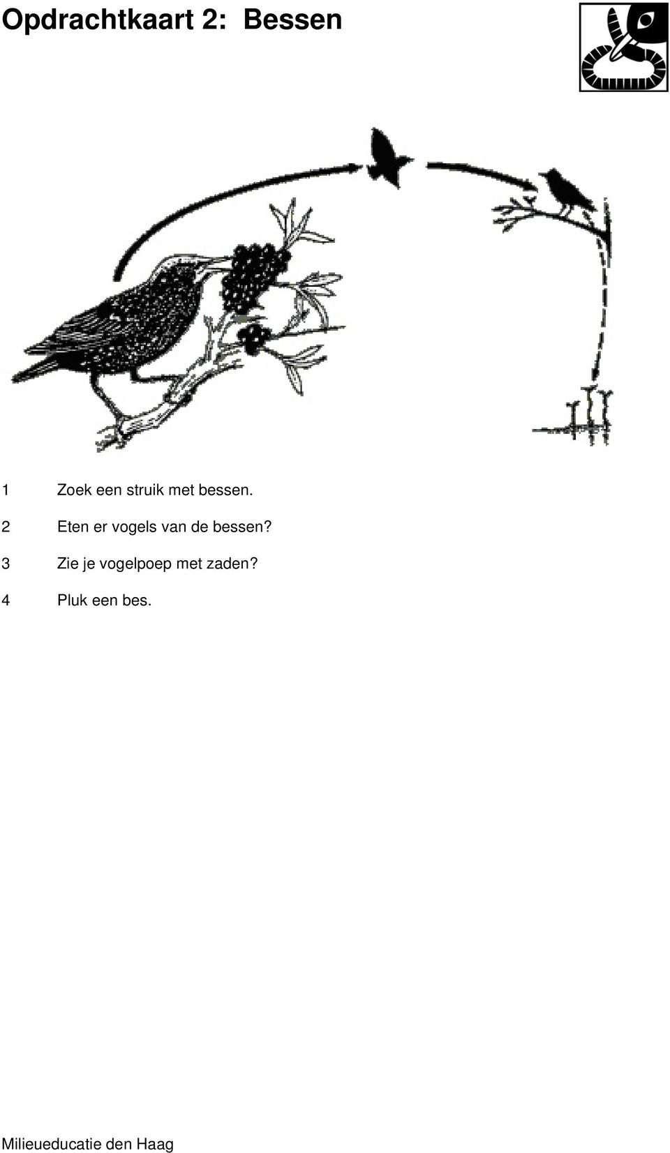 3 Zie je vogelpoep met zaden? 4 Pluk een bes.