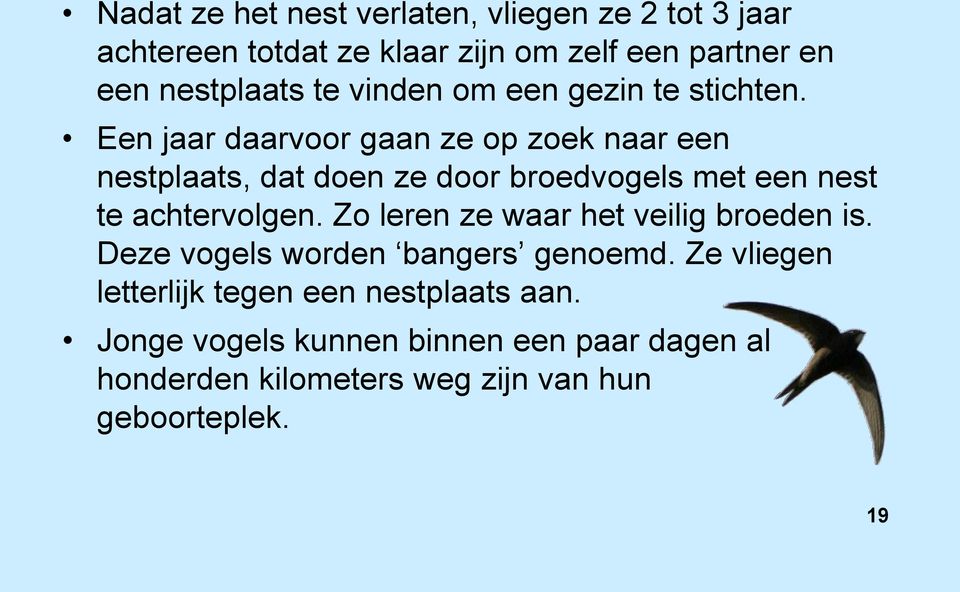 Een jaar daarvoor gaan ze op zoek naar een nestplaats, dat doen ze door broedvogels met een nest te achtervolgen.