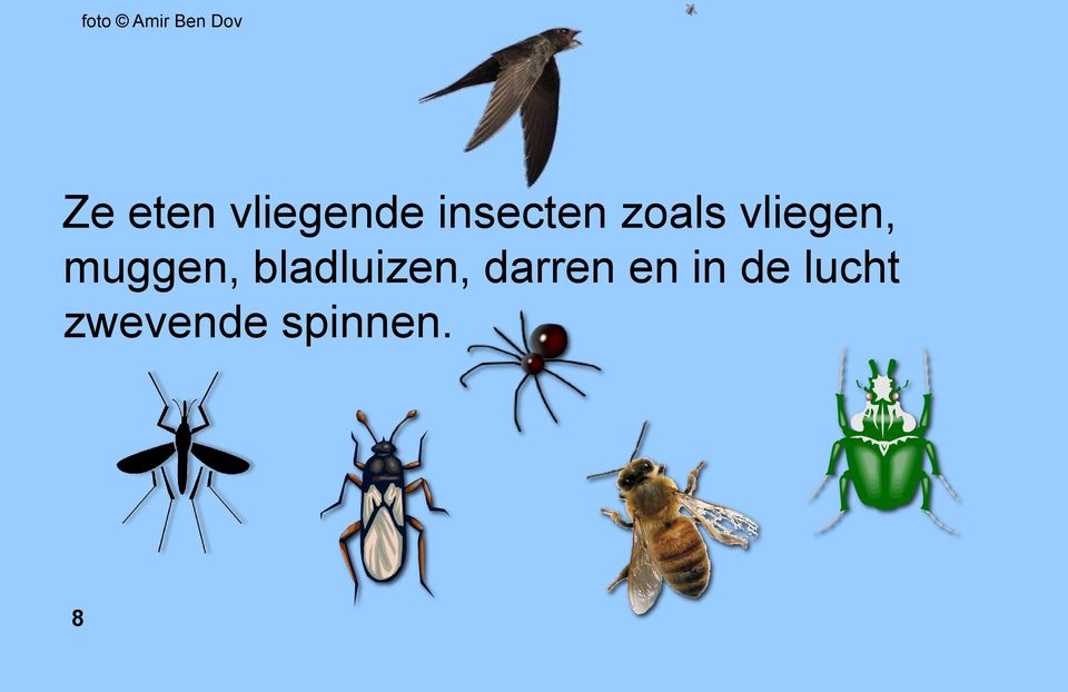 vliegen, muggen, bladluizen,