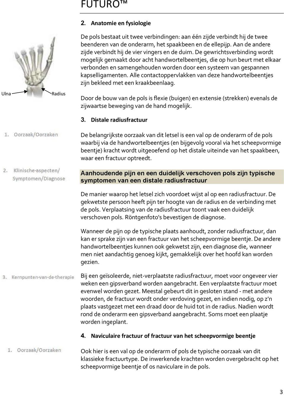 De gewrichtsverbinding wordt mogelijk gemaakt door acht handwortelbeentjes, die op hun beurt met elkaar verbonden en samengehouden worden door een systeem van gespannen kapselligamenten.