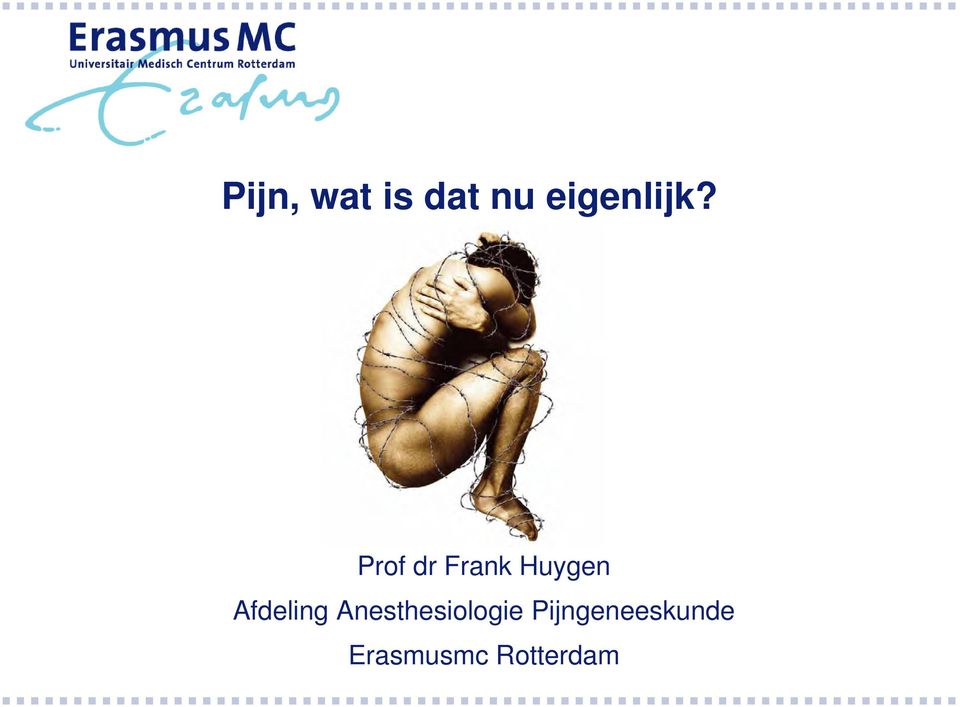 Prof dr Frank Huygen