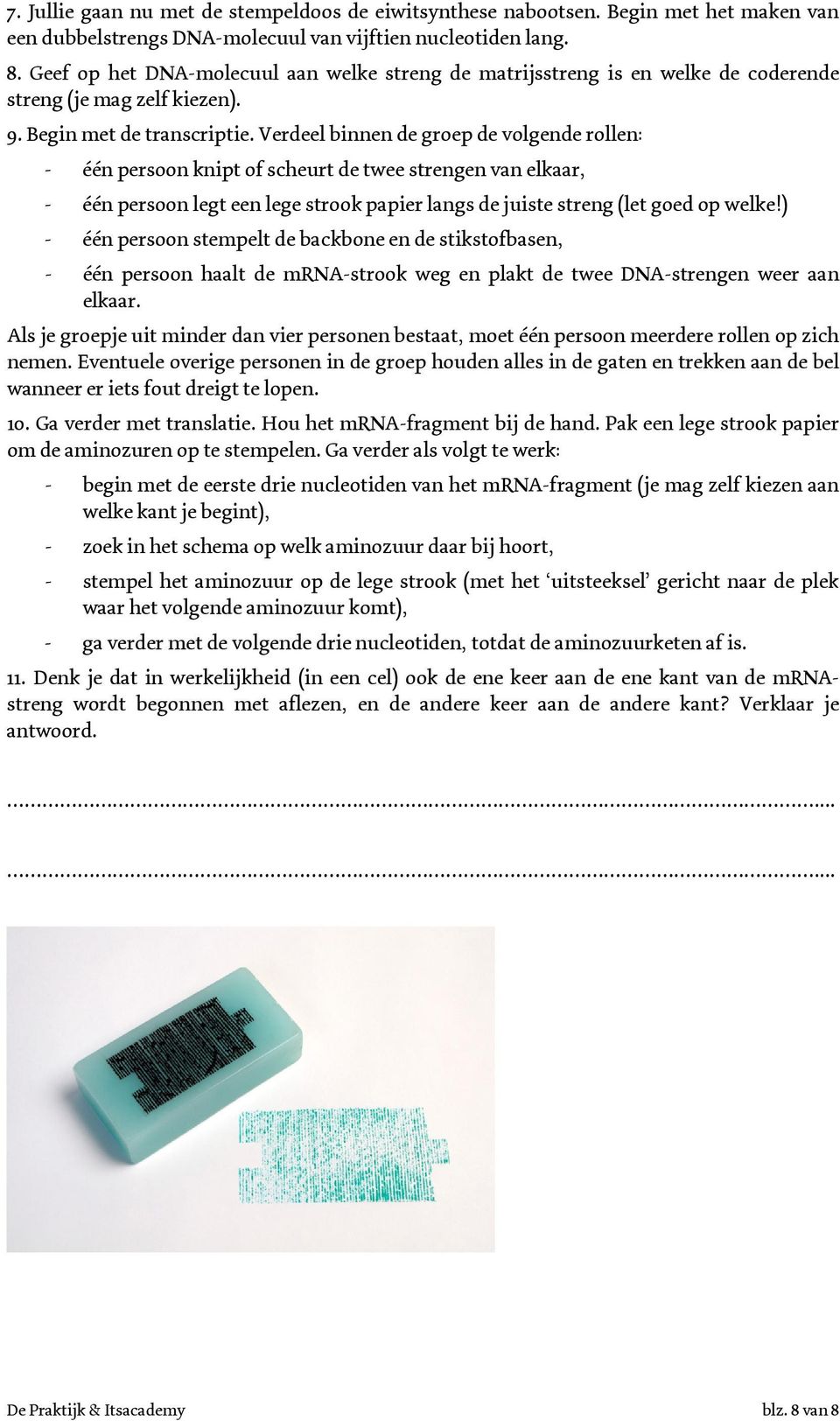 Verdeel binnen de groep de volgende rollen: - één persoon knipt of scheurt de twee strengen van elkaar, - één persoon legt een lege strook papier langs de juiste streng (let goed op welke!