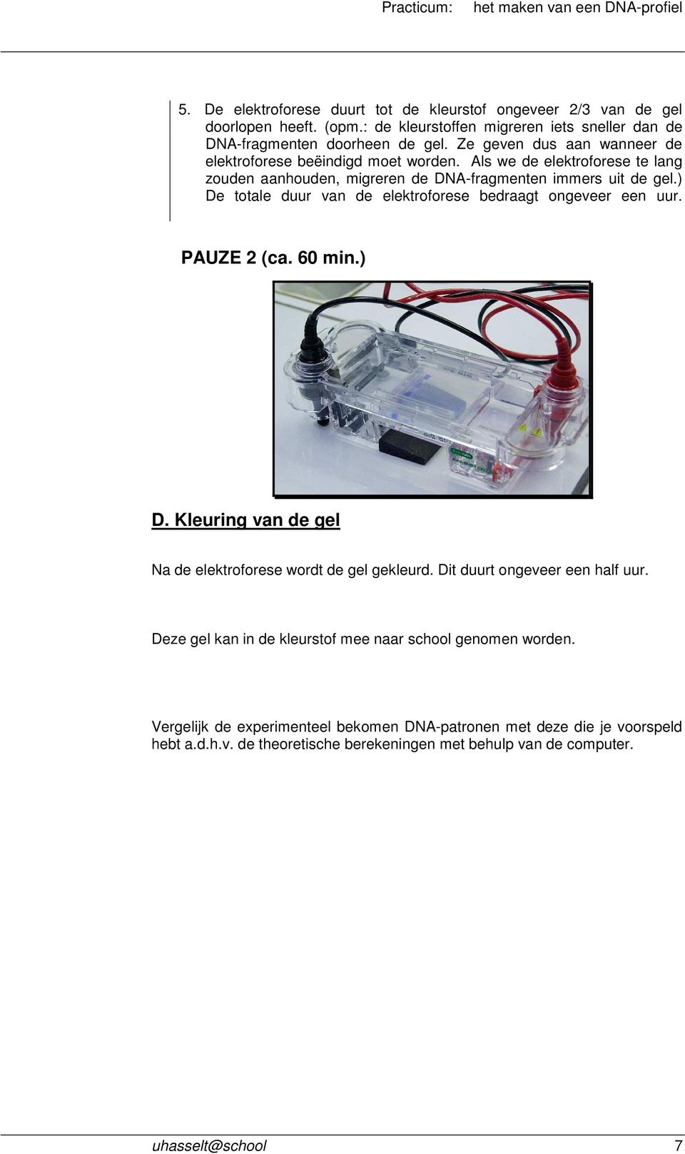 ) De totale duur van de elektroforese bedraagt ongeveer een uur. PAUZE 2 (ca. 60 min.) D. Kleuring van de gel Na de elektroforese wordt de gel gekleurd. Dit duurt ongeveer een half uur.