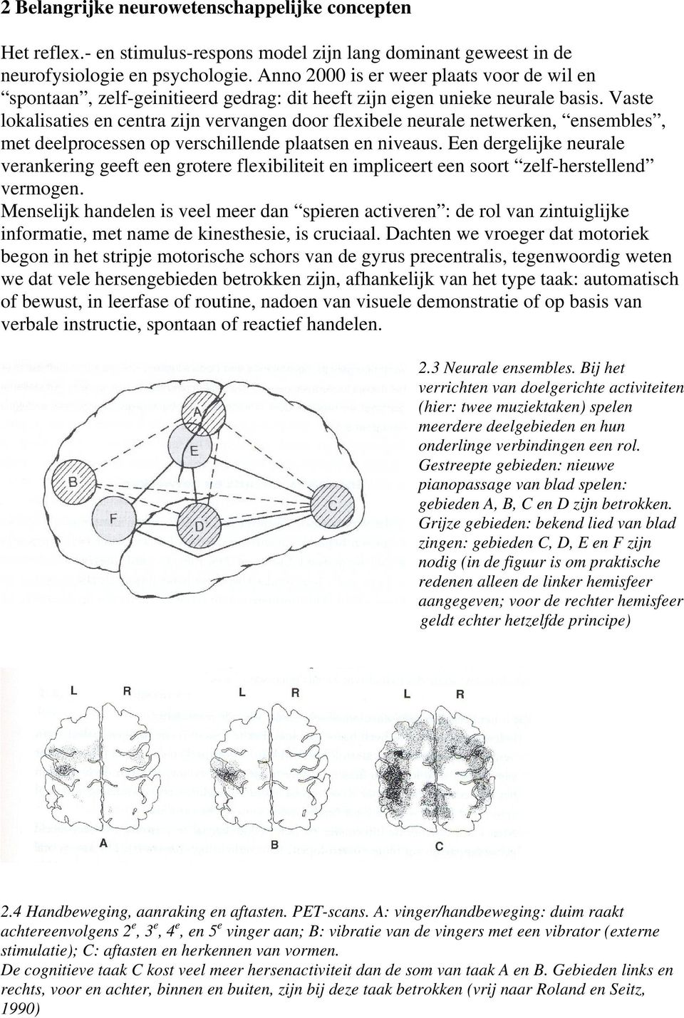 Vaste lokalisaties en centra zijn vervangen door flexibele neurale netwerken, ensembles, met deelprocessen op verschillende plaatsen en niveaus.