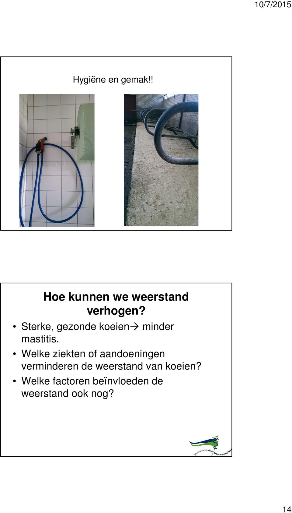 Welke ziekten of aandoeningen verminderen de