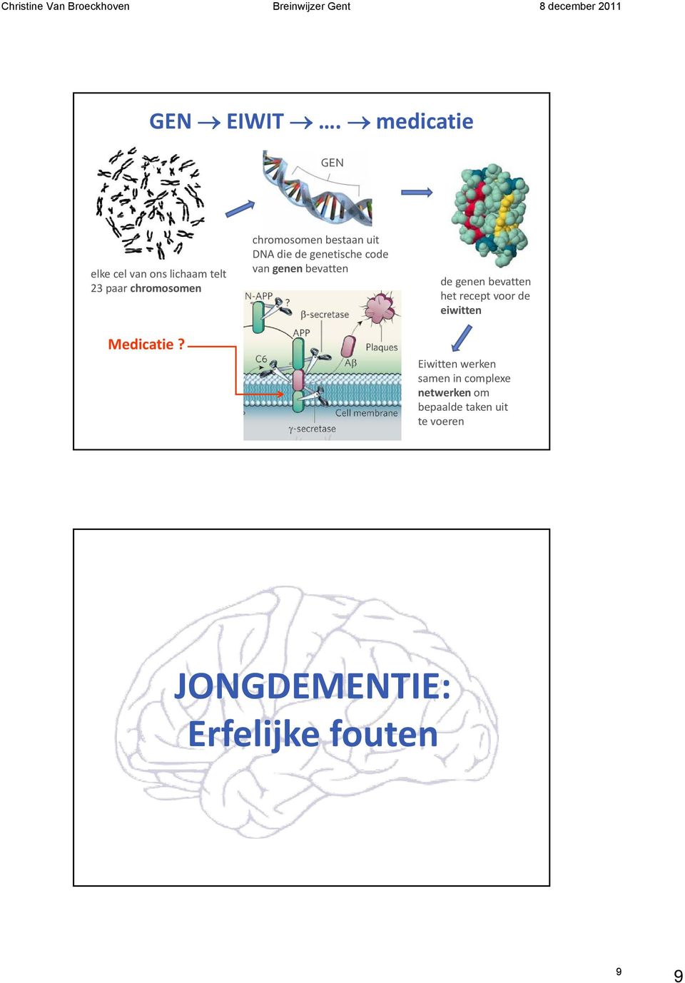 chromosomen bestaan uit DNA die de genetische code van genen bevatten de