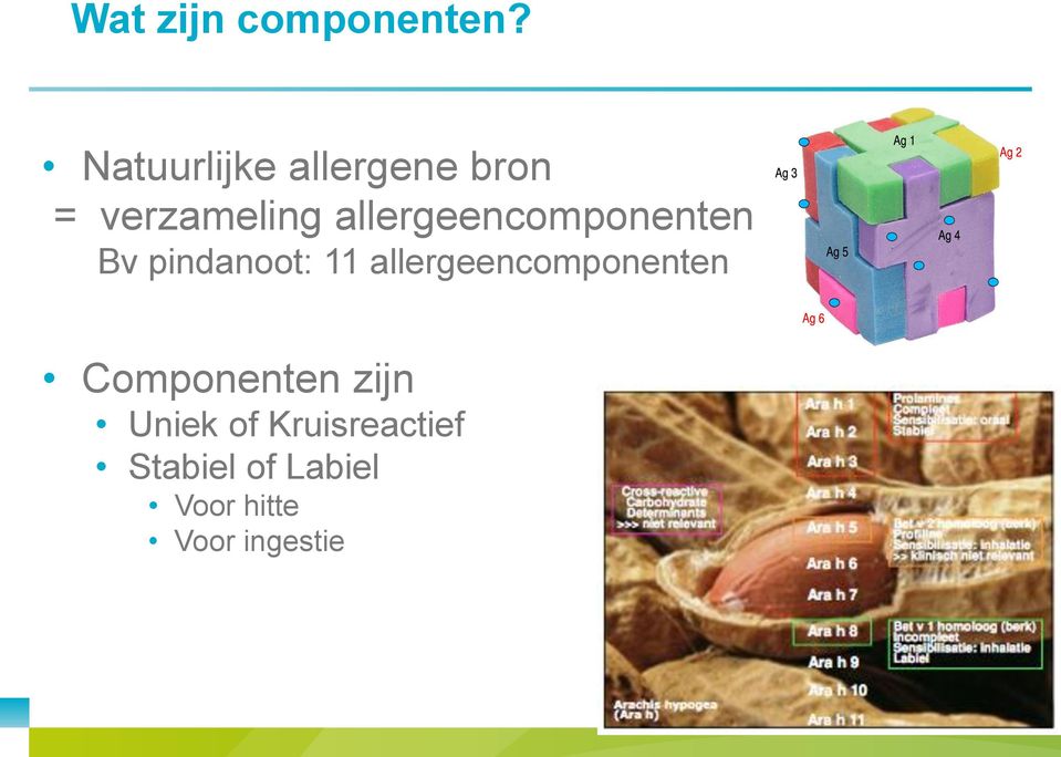 allergeencomponenten Bv pindanoot: 11