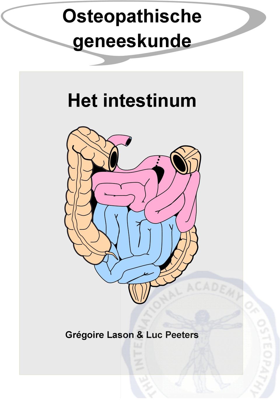 intestinum