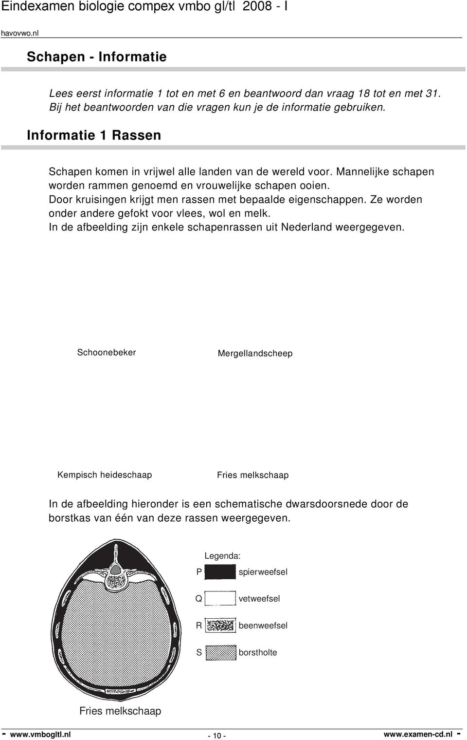 Door kruisingen krijgt men rassen met bepaalde eigenschappen. Ze worden onder andere gefokt voor vlees, wol en melk. In de afbeelding zijn enkele schapenrassen uit Nederland weergegeven.