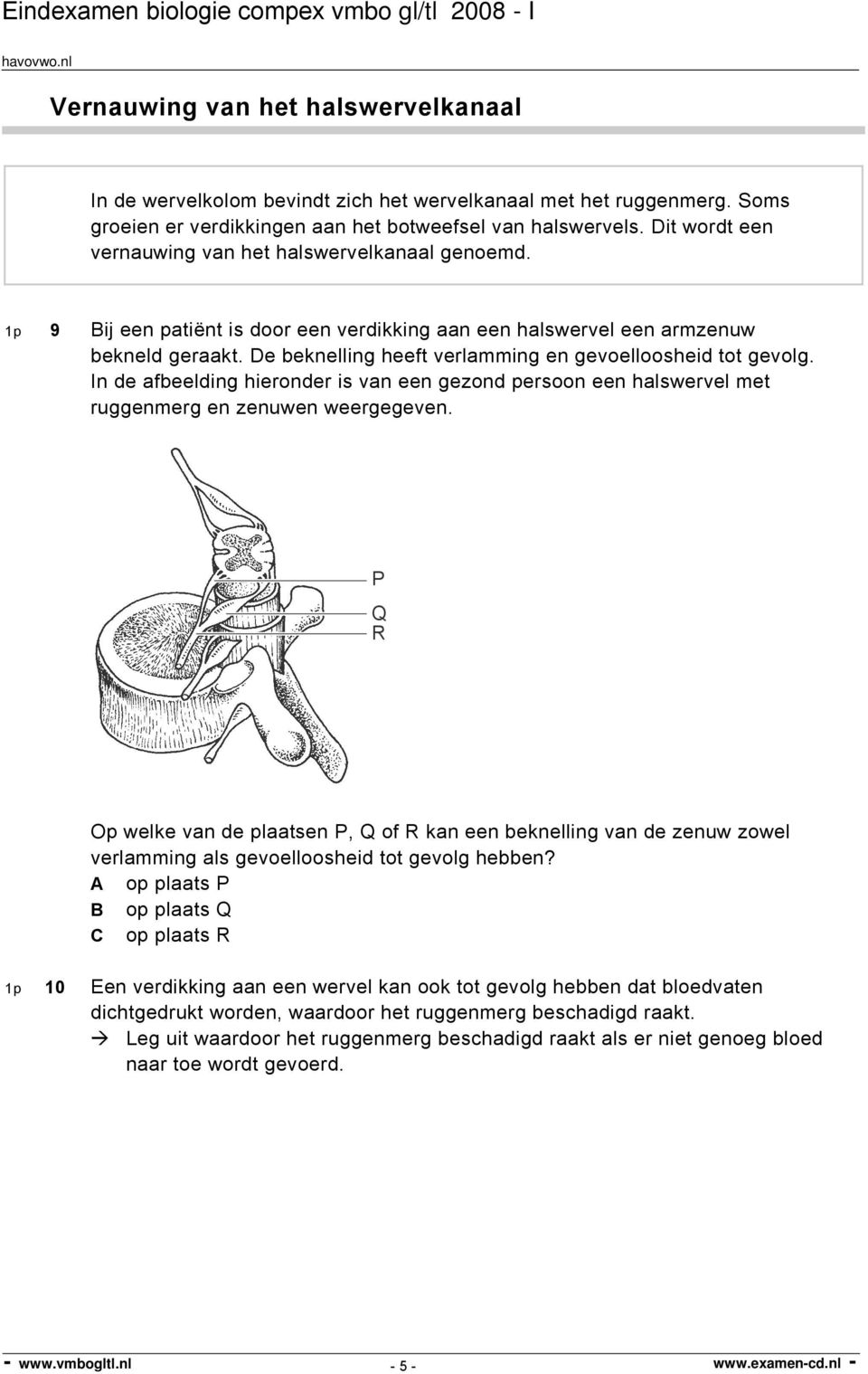 De beknelling heeft verlamming en gevoelloosheid tot gevolg. In de afbeelding hieronder is van een gezond persoon een halswervel met ruggenmerg en zenuwen weergegeven.