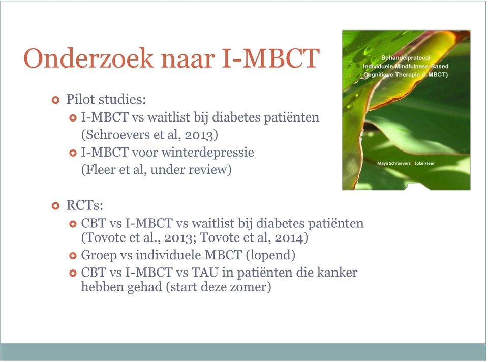 waitlist bij diabetes patiënten (Tovote et al.