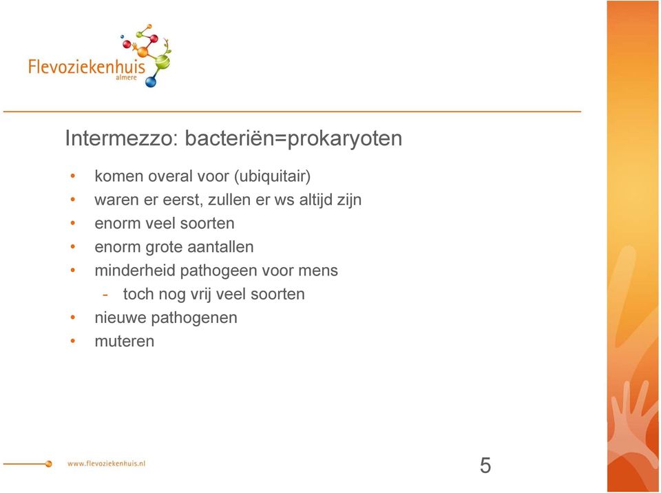 enorm veel soorten enorm grote aantallen minderheid