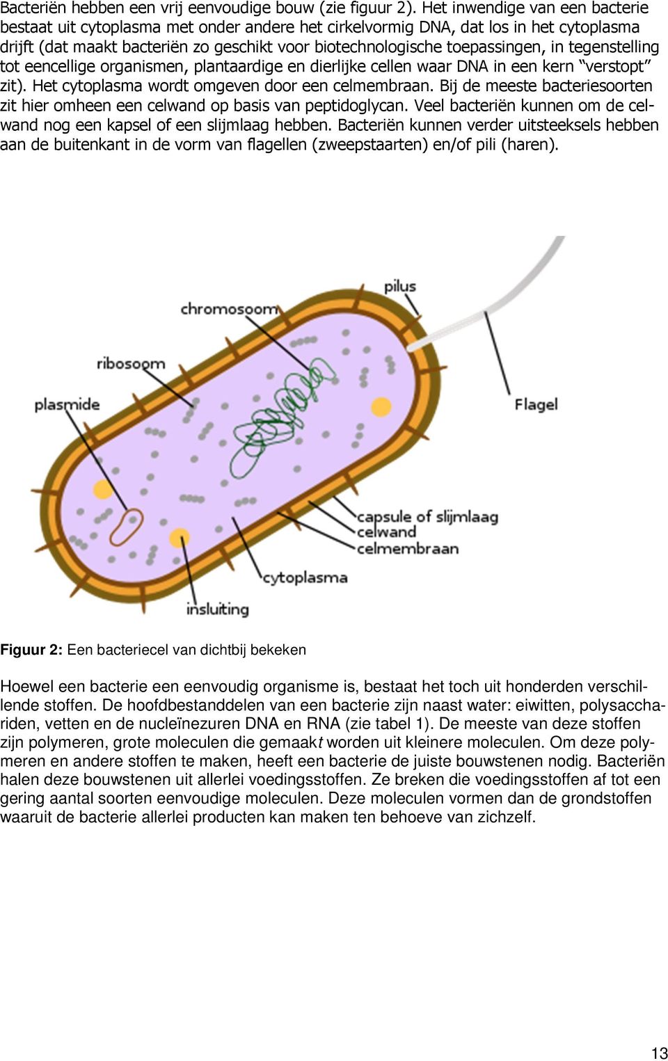 tegenstelling tot eencellige organismen, plantaardige en dierlijke cellen waar DNA in een kern verstopt zit). Het cytoplasma wordt omgeven door een celmembraan.