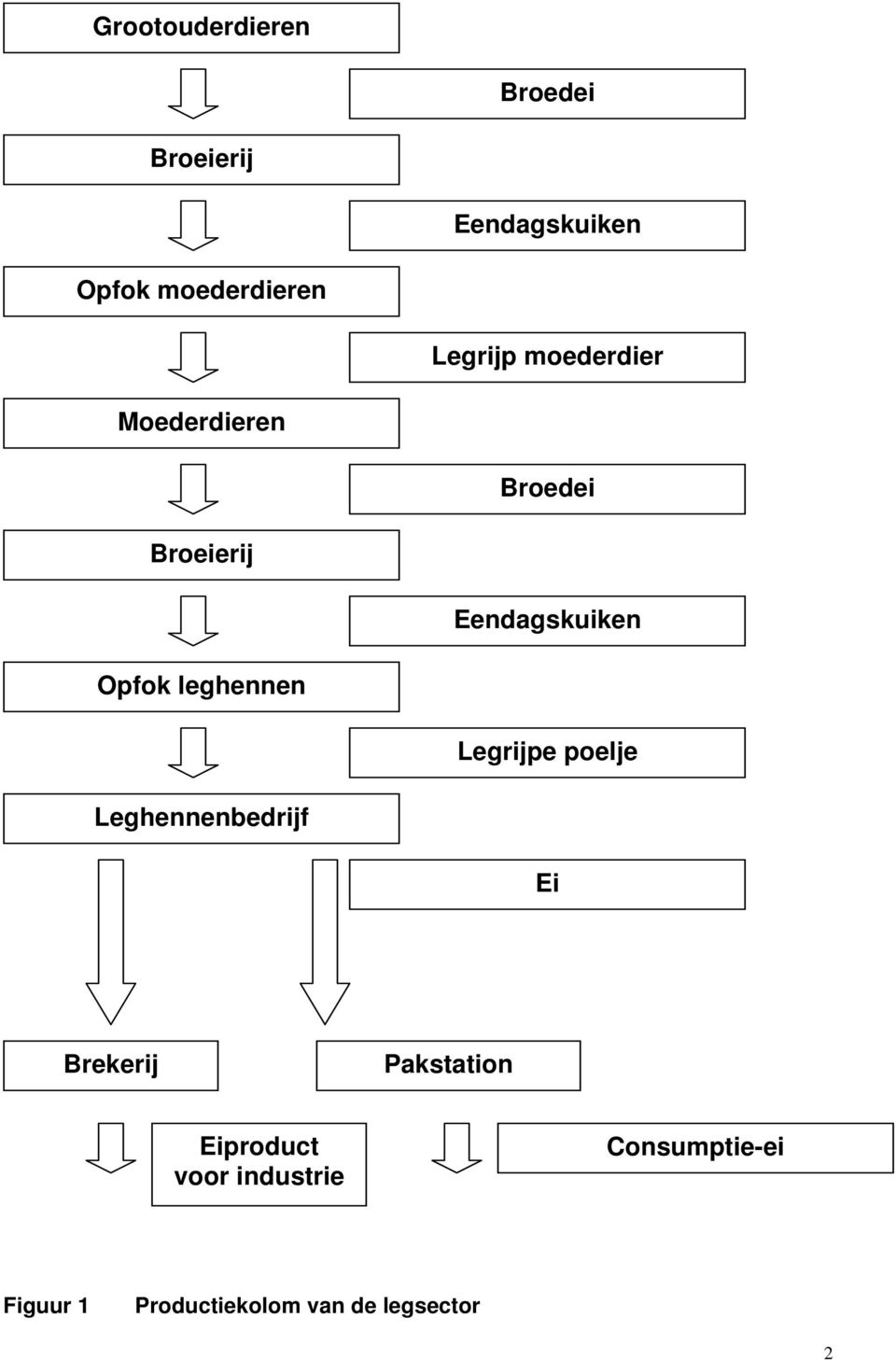 leghennen Legrijpe poelje Leghennenbedrijf Ei Brekerij Pakstation