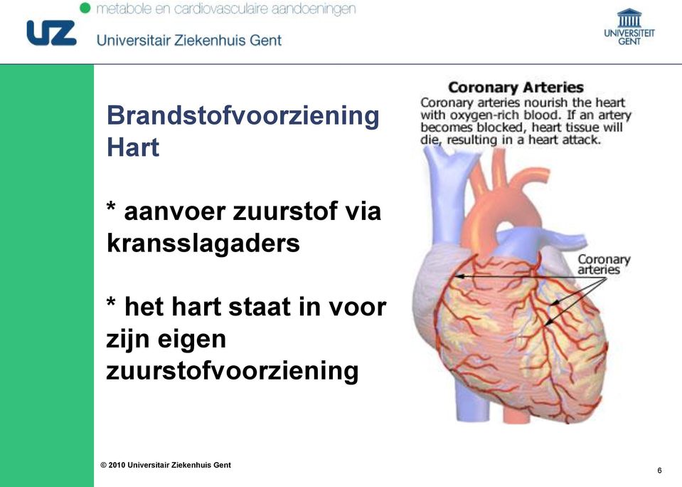 kransslagaders * het hart