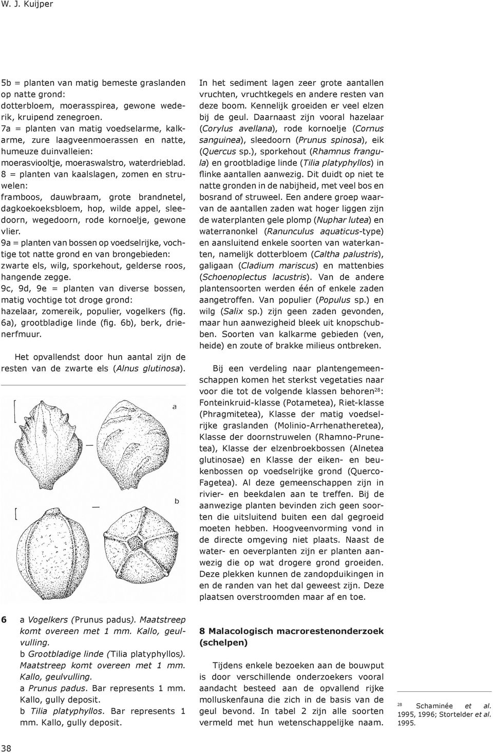 8 = planten van kaalslagen, zomen en struwelen: framboos, dauwbraam, grote brandnetel, dagkoekoeksbloem, hop, wilde appel, sleedoorn, wegedoorn, rode kornoelje, gewone vlier.