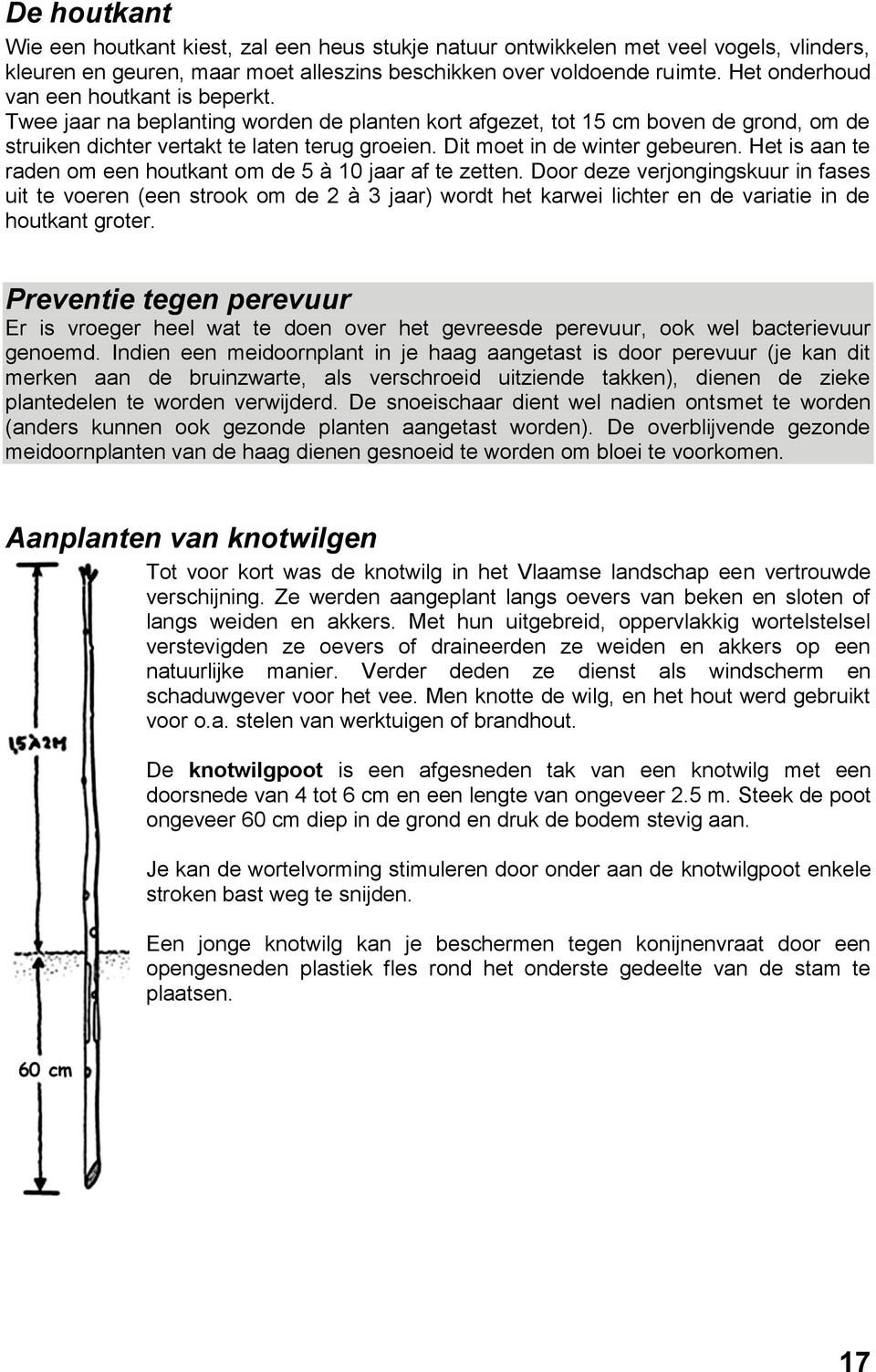 Dit moet in de winter gebeuren. Het is aan te raden om een houtkant om de 5 à 10 jaar af te zetten.