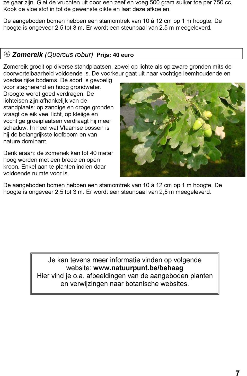 Zomereik (Quercus robur) Prijs: 40 euro Zomereik groeit op diverse standplaatsen, zowel op lichte als op zware gronden mits de doorwortelbaarheid voldoende is.