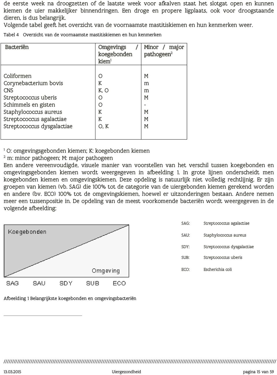 Tabel 4 Overzicht van de voornaamste mastitiskiemen en hun kenmerken Bacteriën Omgevings / koegebonden kiem 1 Minor / major pathogeen 2 Coliformen Corynebacterium bovis CNS Streptococcus uberis