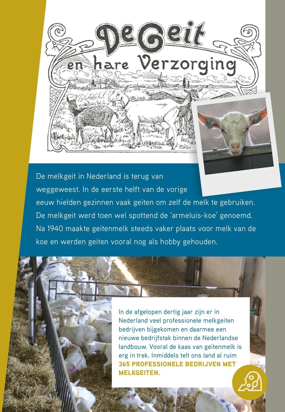 Na 1940 maakte geitenmelk steeds vaker plaats voor melk van de koe en werden geiten vooral nog als hobby gehouden.