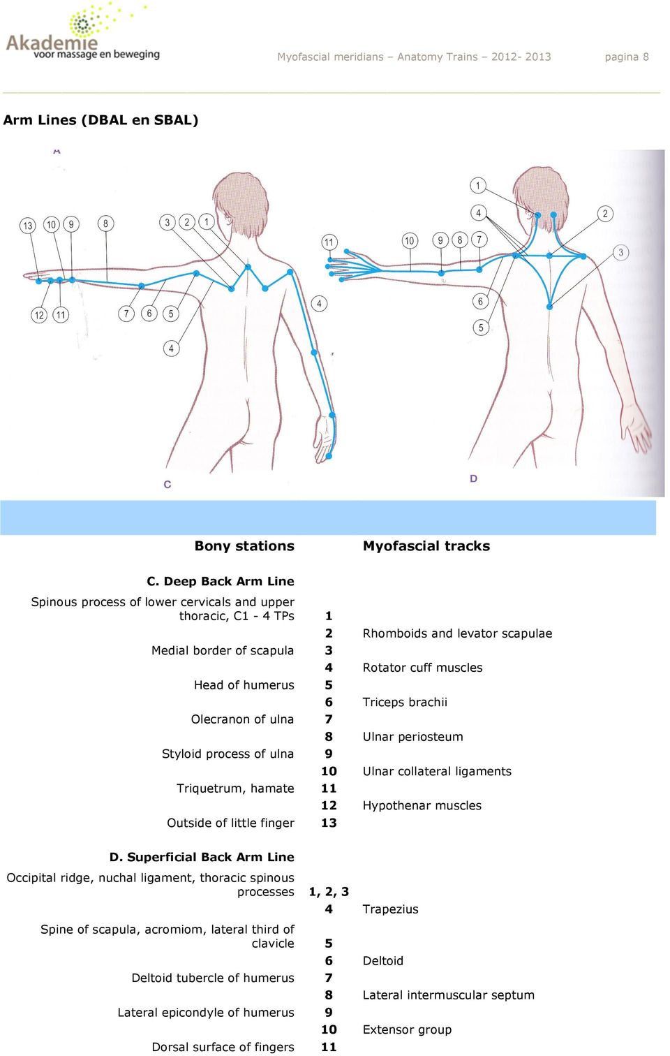 11 Outside of little finger 13 2 Rhomboids and levator scapulae 4 Rotator cuff muscles 6 Triceps brachii 8 Ulnar periosteum 10 Ulnar collateral ligaments 12 Hypothenar muscles D.