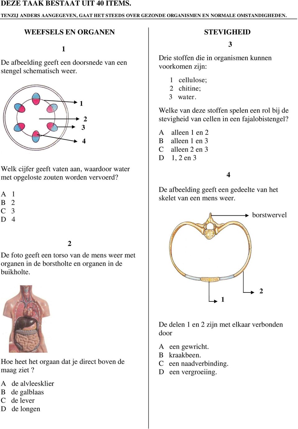 A B C D STEVIGHEID Drie stoffen die in organismen kunnen voorkomen zijn: cellulose; chitine; water. Welke van deze stoffen spelen een rol bij de stevigheid van cellen in een fajalobistengel?