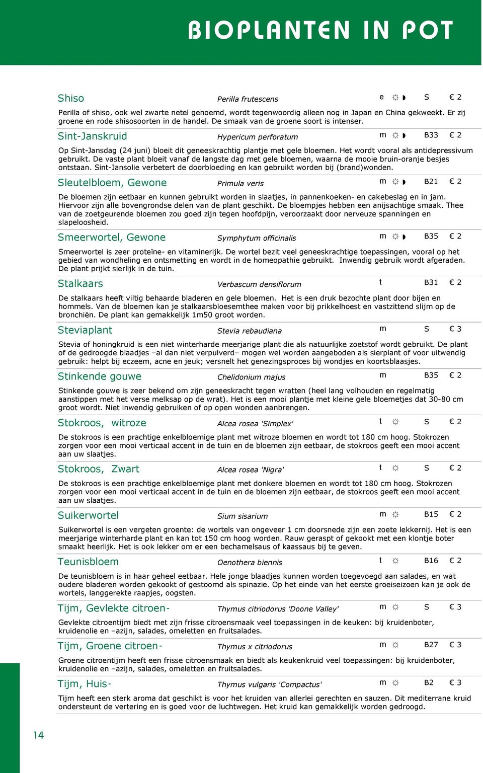 Sint-Janskruid Hypericum perforatum m B33 Op Sint-Jansdag (4 juni) bloeit dit geneeskrachtig plantje met gele bloemen. Het wordt vooral als antidepressivum gebruikt.