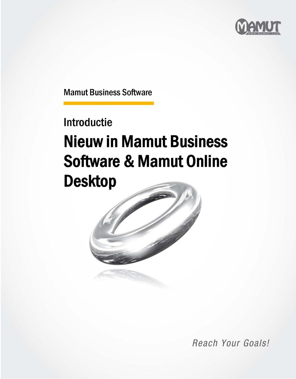 Mamut Online Desktop 1