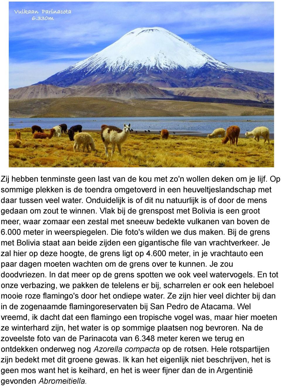 000 meter in weerspiegelen. Die foto's wilden we dus maken. Bij de grens met Bolivia staat aan beide zijden een gigantische file van vrachtverkeer. Je zal hier op deze hoogte, de grens ligt op 4.