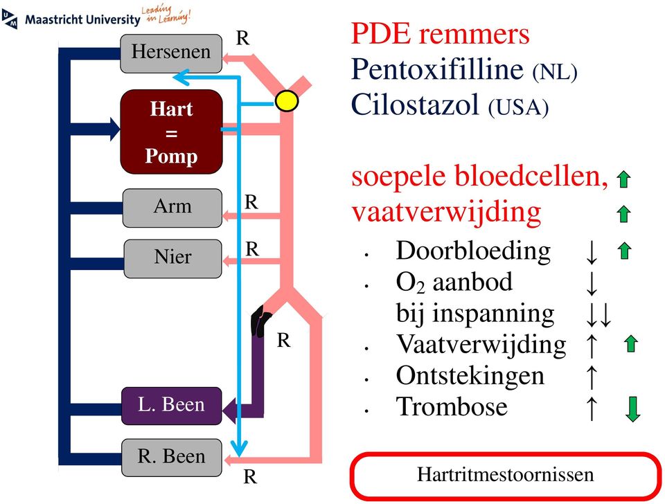 Doorbloeding O 2 aanbod bij inspanning