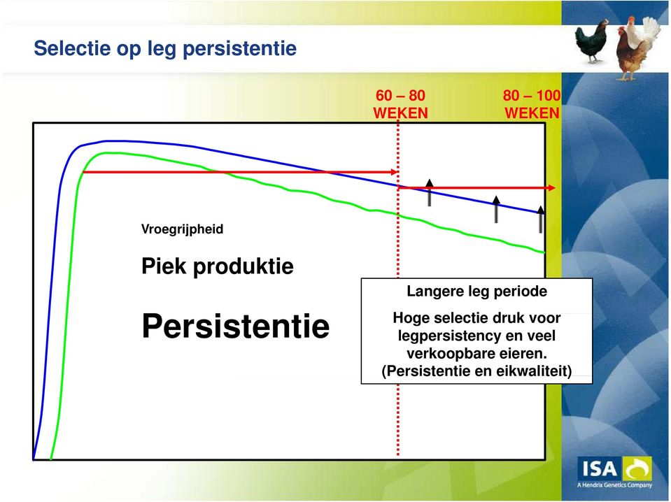 Langere leg periode Hoge selectie druk voor