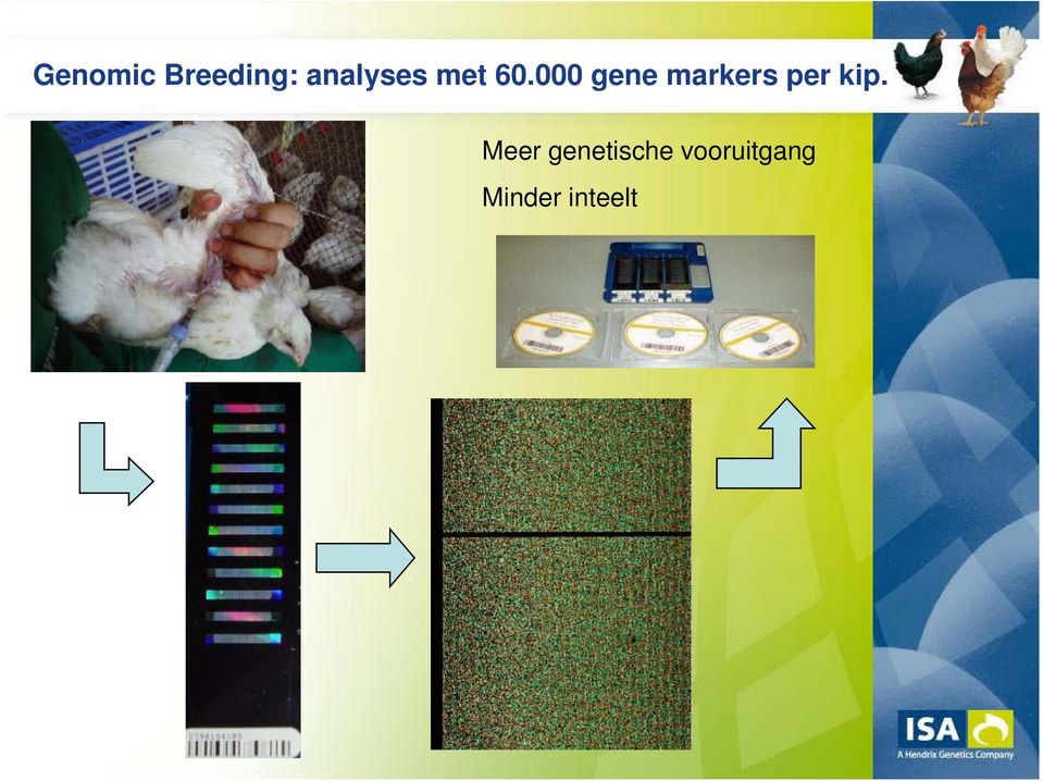 000 gene markers per kip.