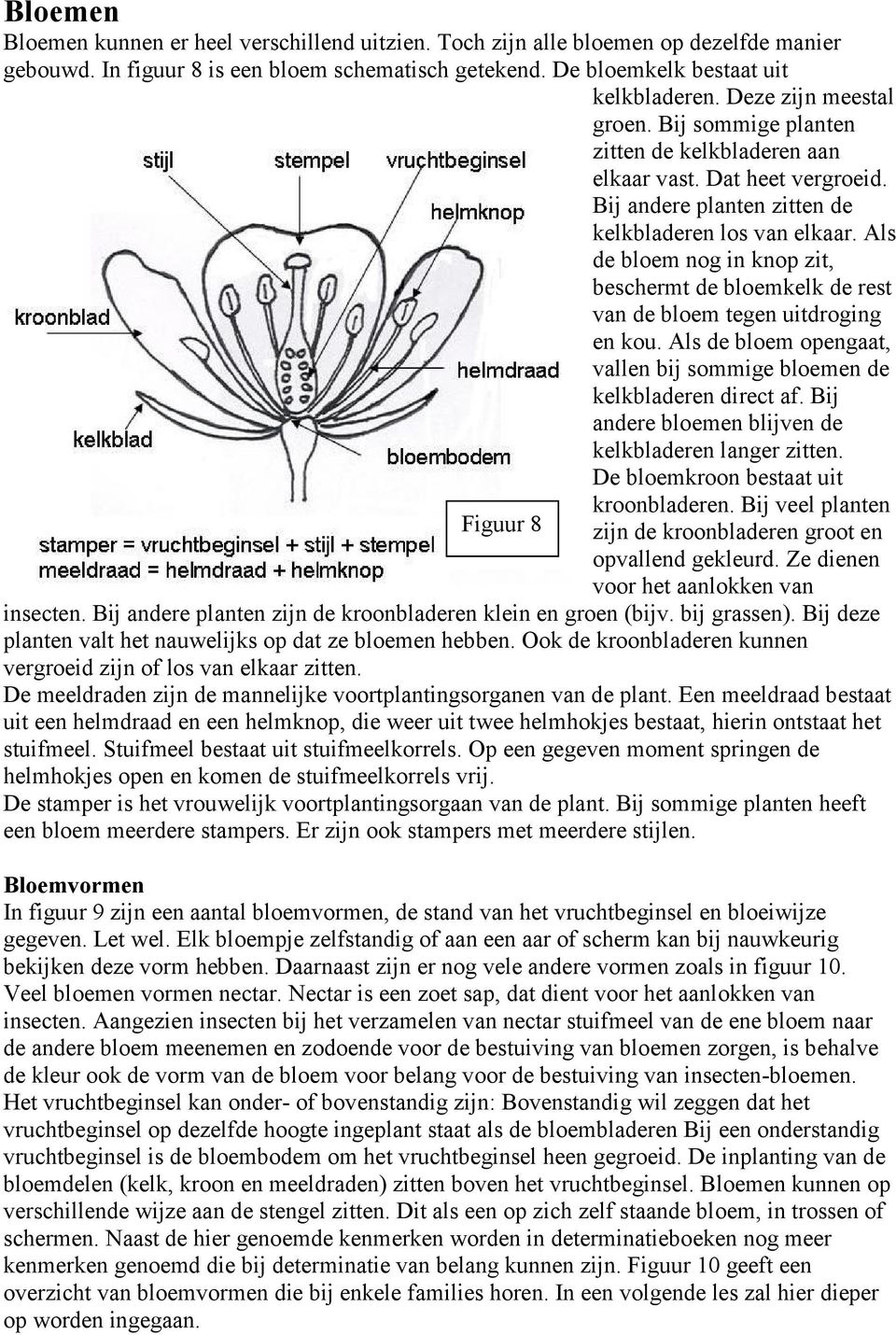 Als de bloem nog in knop zit, beschermt de bloemkelk de rest van de bloem tegen uitdroging en kou. Als de bloem opengaat, vallen bij sommige bloemen de kelkbladeren direct af.