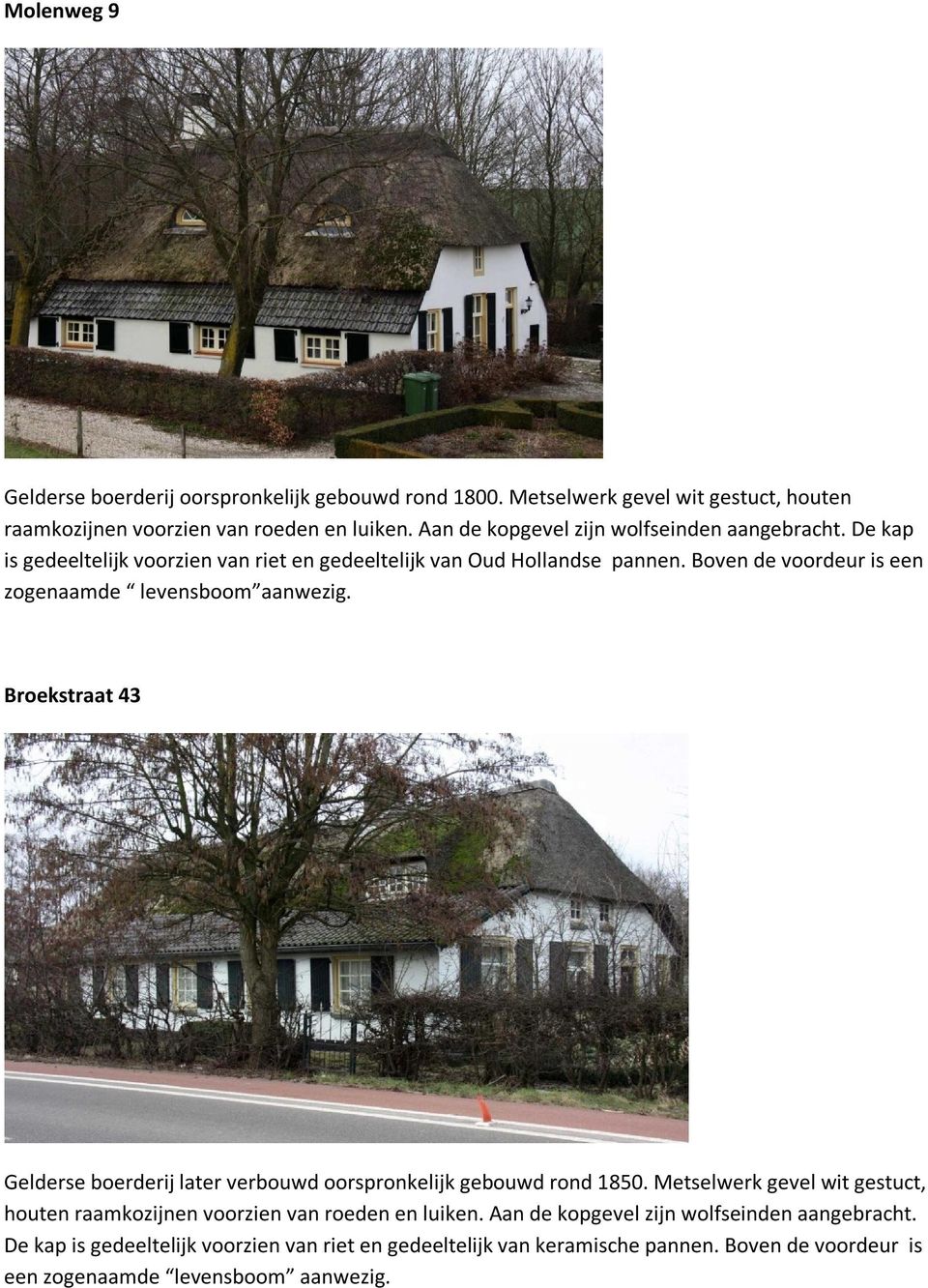 Boven de voordeur is een zogenaamde levensboom aanwezig. Broekstraat 43 Gelderse boerderij later verbouwd oorspronkelijk gebouwd rond 1850.