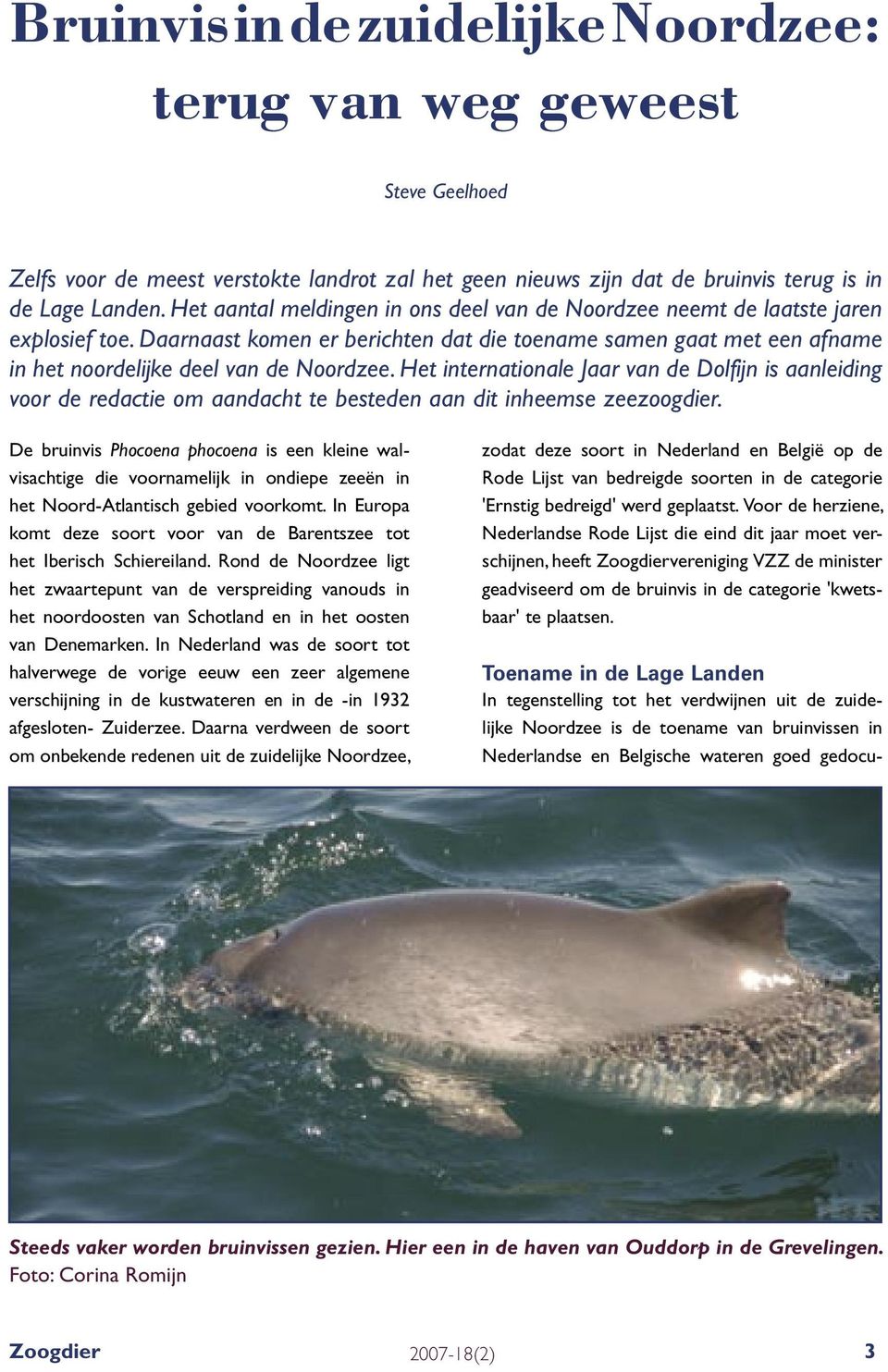 Het internationale Jaar van de Dolfijn is aanleiding voor de redactie om aandacht te besteden aan dit inheemse zeezoogdier.