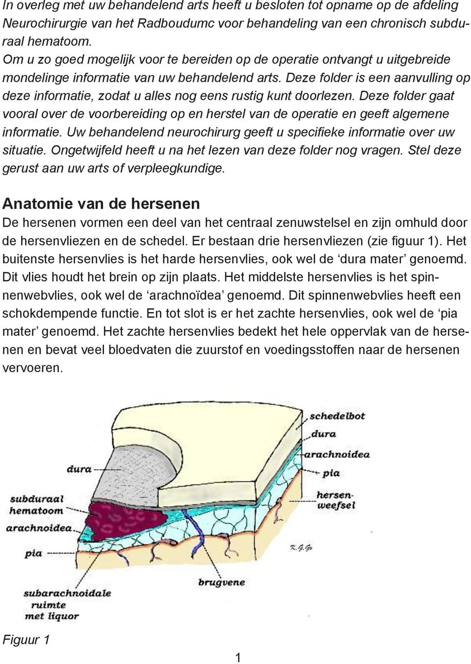 Deze folder is een aanvulling op deze informatie, zodat u alles nog eens rustig kunt doorlezen.