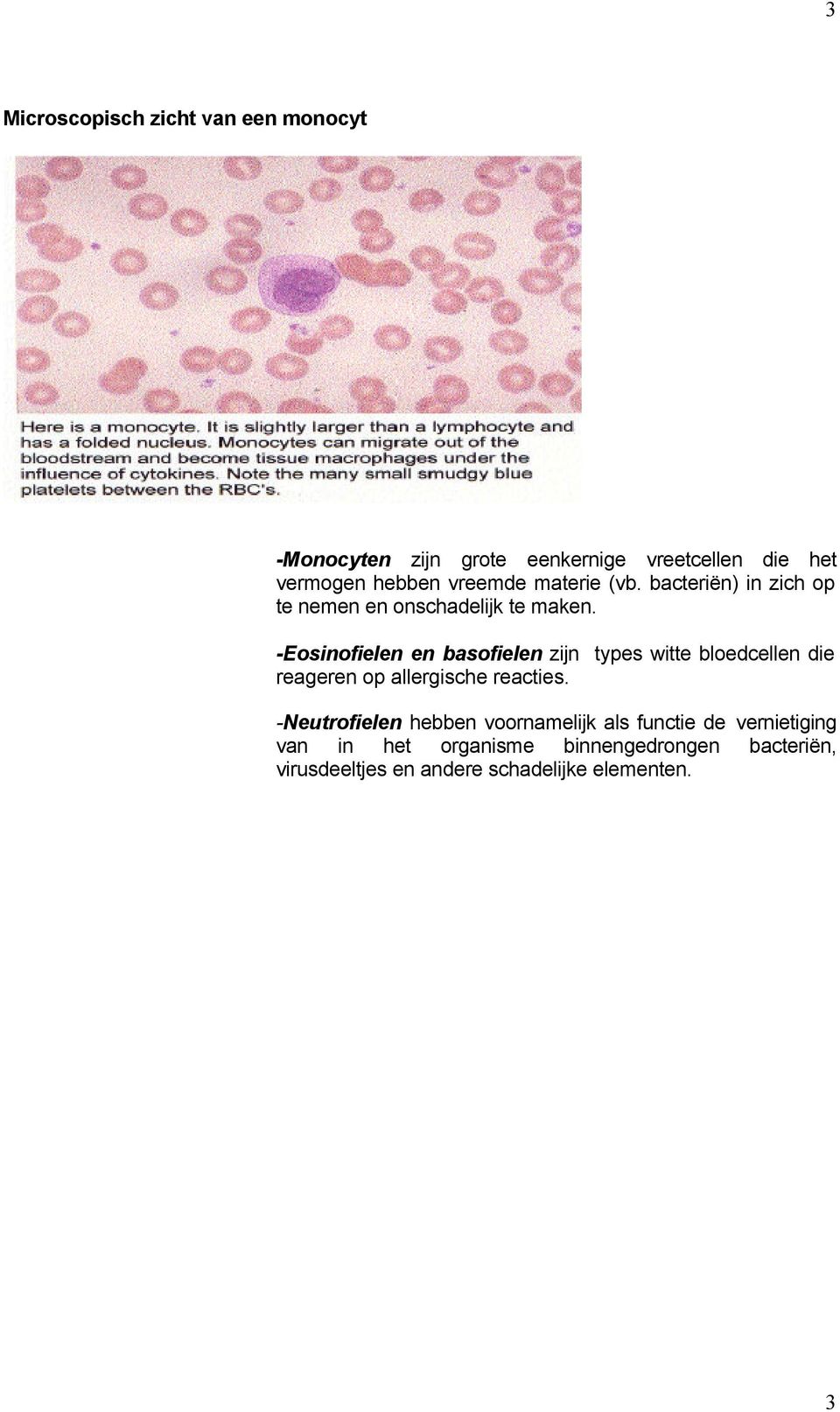 -Eosinofielen en basofielen zijn types witte bloedcellen die reageren op allergische reacties.