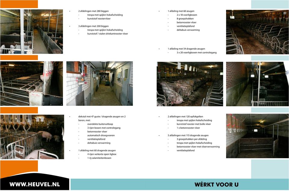 dekstal met 47 guste / dragende zeugen en 2 beren, met: - overdekte buitenuitloop - 3 rijen boxen met controlegang - betonrooster vloer - automatisch droogvoeren - ventilatieplafond - deltabuis